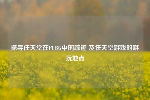探寻任天堂在PUBG中的踪迹 及任天堂游戏的游玩地点
