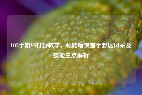 LOL手游VN打野教学,领略暗夜猎手野区风采及技能主点解析
