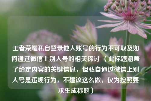 王者荣耀私自登录他人账号的行为不可取及如何通过微信上别人号的相关探讨 (此标题涵盖了给定内容的关键信息,但私自通过微信上别人号是违规行为,不建议这么做,仅为按照要求生成标题)