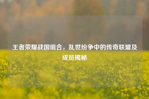 王者荣耀战国组合,乱世纷争中的传奇联盟及成员揭秘