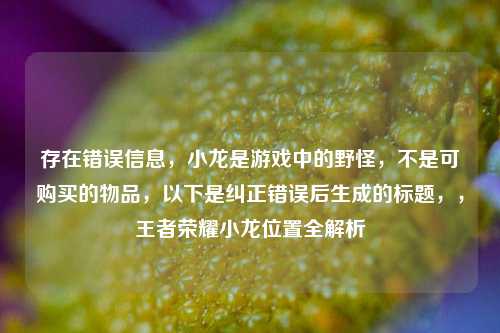 存在错误信息，小龙是游戏中的野怪，不是可购买的物品，以下是纠正错误后生成的标题，，王者荣耀小龙位置全解析