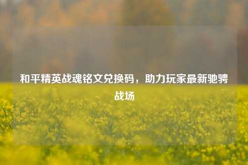 和平精英战魂铭文兑换码,助力玩家最新驰骋战场