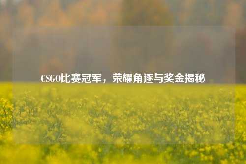 CSGO比赛冠军,荣耀角逐与奖金揭秘