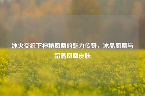 冰火交织下神秘凤凰的魅力传奇,冰晶凤凰与黯晶凤凰皮肤