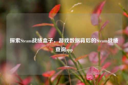 探索Steam战绩盒子，游戏数据背后的Steam战绩查询app