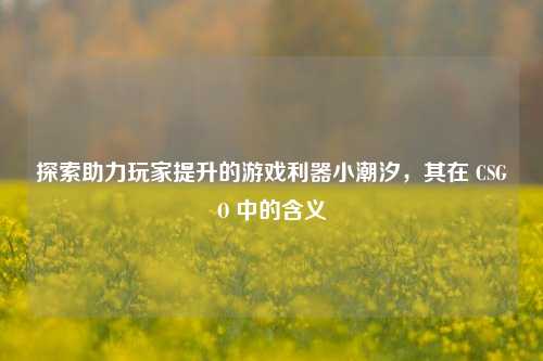 探索助力玩家提升的游戏利器小潮汐,其在 CSGO 中的含义
