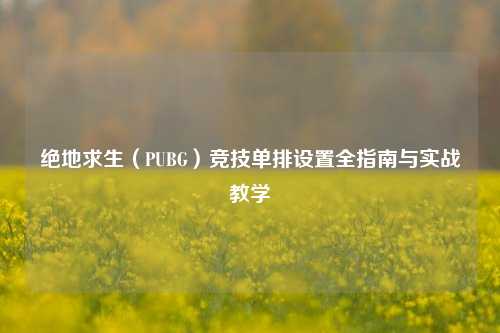 绝地求生(PUBG)竞技单排设置全指南与实战教学