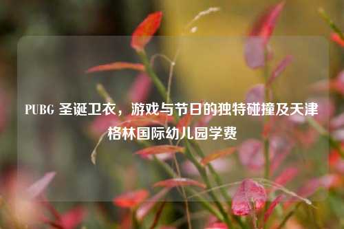 PUBG 圣诞卫衣,游戏与节日的独特碰撞及天津格林国际幼儿园学费