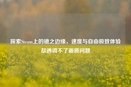 探索Steam上的镜之边缘，速度与自由极致体验却遇调不了画质问题