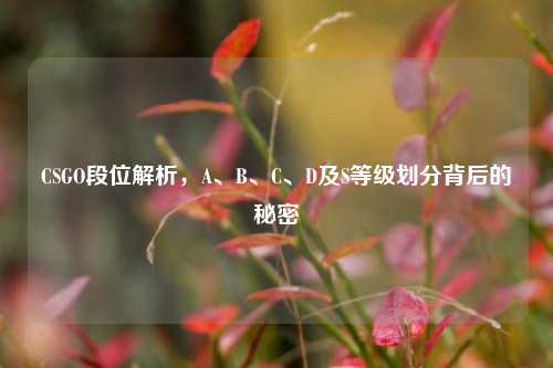 CSGO段位解析，A、B、C、D及S等级划分背后的秘密