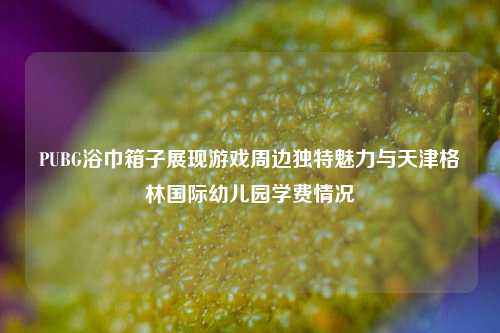 PUBG浴巾箱子展现游戏周边独特魅力与天津格林国际幼儿园学费情况
