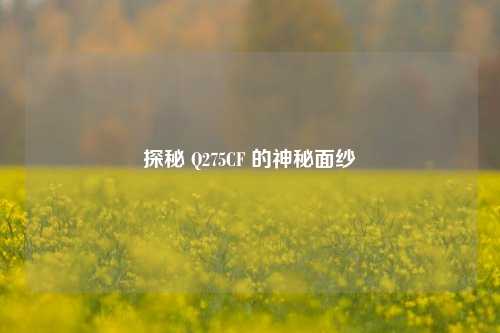 探秘 Q275CF 的神秘面纱