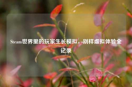 Steam世界里的玩家生长模拟，别样虚拟体验全记录