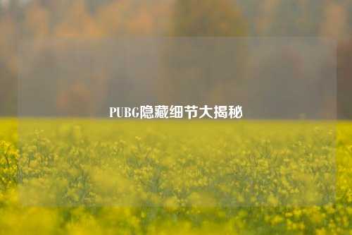PUBG隐藏细节大揭秘