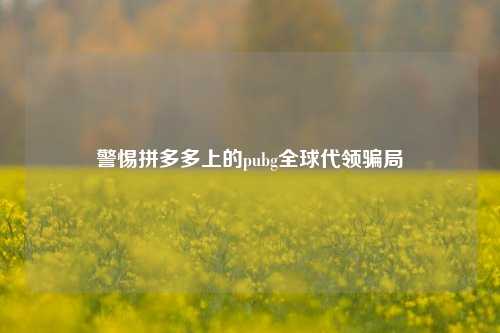 警惕拼多多上的pubg全球代领骗局