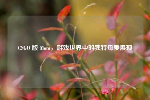 CSGO 版 Mom,游戏世界中的独特母爱展现