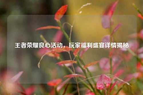 王者荣耀良心活动,玩家福利盛宴详情揭秘