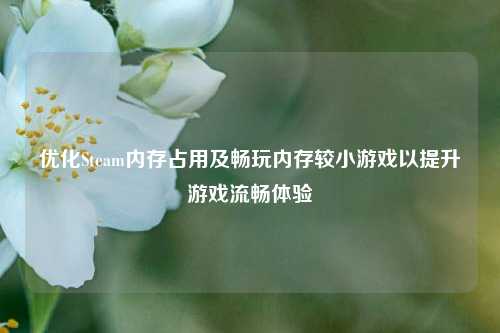 优化Steam内存占用及畅玩内存较小游戏以提升游戏流畅体验