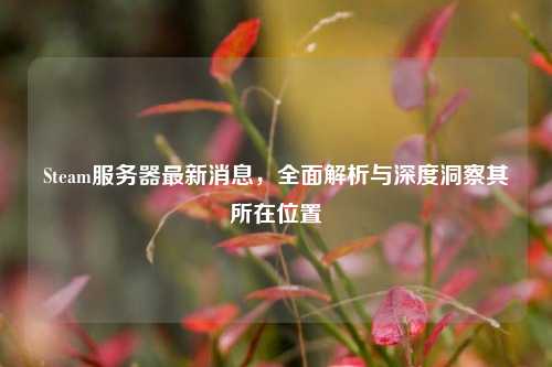 Steam服务器最新消息,全面解析与深度洞察其所在位置