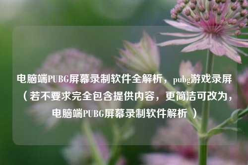 电脑端PUBG屏幕录制软件全解析,pubg游戏录屏 (若不要求完全包含提供内容,更简洁可改为,电脑端PUBG屏幕录制软件解析 )