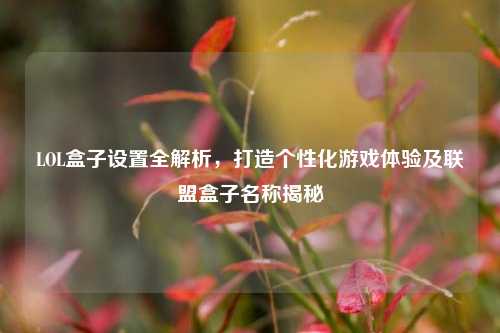 LOL盒子设置全解析,打造个性化游戏体验及联盟盒子名称揭秘