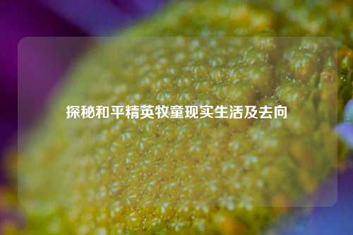 探秘和平精英牧童现实生活及去向