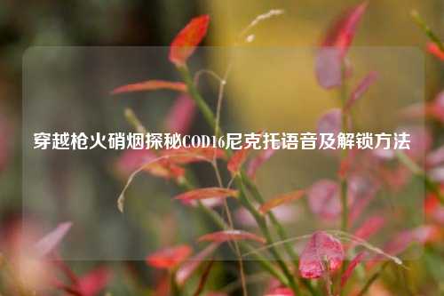 穿越枪火硝烟探秘COD16尼克托语音及解锁方法