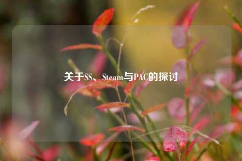 关于SS、Steam与PAC的探讨