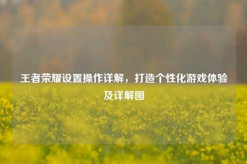 王者荣耀设置操作详解,打造个性化游戏体验及详解图