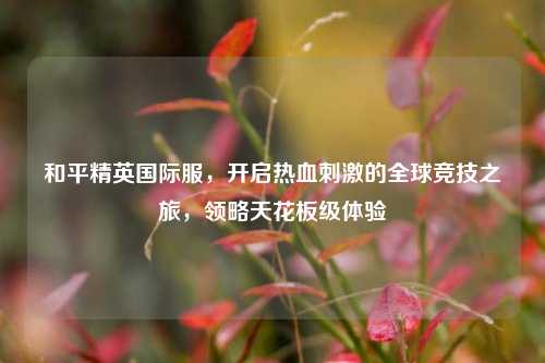 和平精英国际服，开启热血刺激的全球竞技之旅，领略天花板级体验