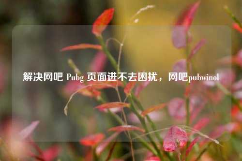 解决网吧 Pubg 页面进不去困扰，网吧pubwinol