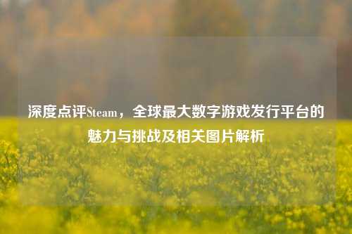 深度点评Steam，全球最大数字游戏发行平台的魅力与挑战及相关图片解析