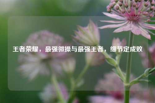 王者荣耀,最强微操与最强王者,细节定成败