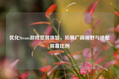 优化Steam游戏宽屏体验，拓展广阔视野与适配屏幕比例