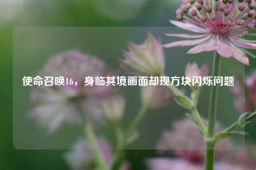 使命召唤16，身临其境画面却现方块闪烁问题