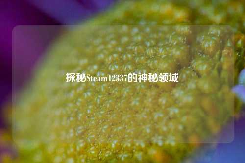 探秘Steam12337的神秘领域