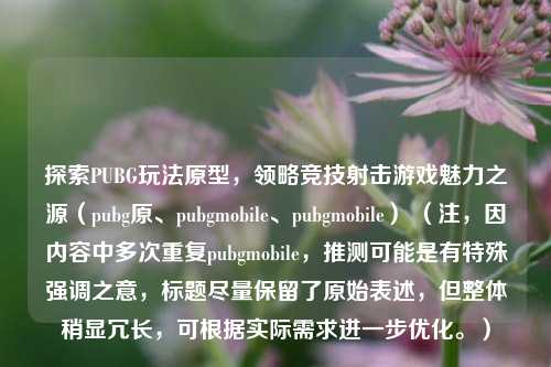探索PUBG玩法原型,领略竞技射击游戏魅力之源(pubg原、pubgmobile、pubgmobile) (注,因内容中多次重复pubgmobile,推测可能是有特殊强调之意,标题尽量保留了原始表述,但整体稍显冗长,可根据实际需求进一步优化。)