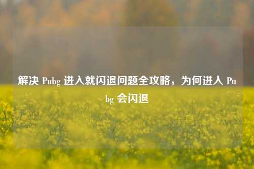 解决 Pubg 进入就闪退问题全攻略,为何进入 Pubg 会闪退
