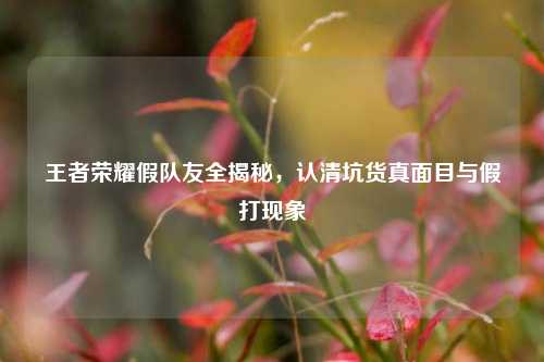 王者荣耀假队友全揭秘,认清坑货真面目与假打现象