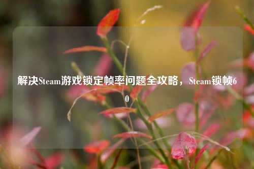 解决Steam游戏锁定帧率问题全攻略,Steam锁帧60