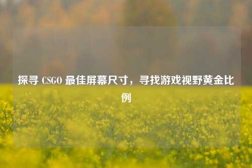 探寻 CSGO 最佳屏幕尺寸，寻找游戏视野黄金比例