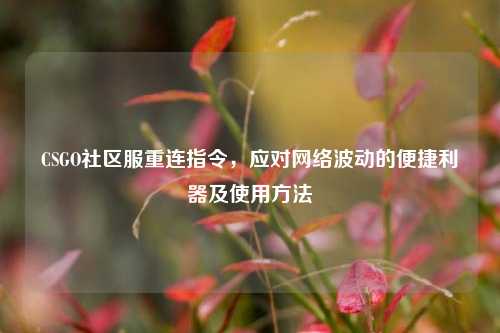 CSGO社区服重连指令,应对网络波动的便捷利器及使用方法