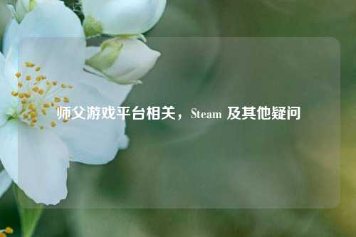 师父游戏平台相关,Steam 及其他疑问