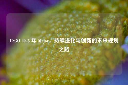 CSGO 2025 年 Major,持续进化与创新的未来规划之路