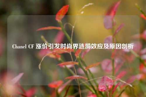 Chanel CF 涨价引发时尚界涟漪效应及原因剖析