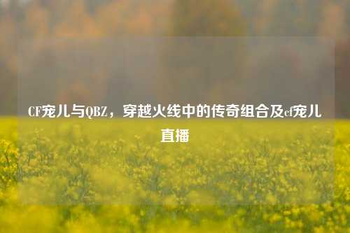 CF宠儿与QBZ,穿越火线中的传奇组合及cf宠儿直播