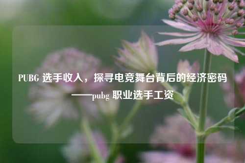 PUBG 选手收入，探寻电竞舞台背后的经济密码——pubg 职业选手工资