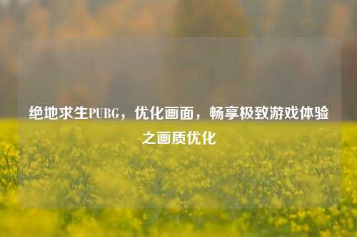 绝地求生PUBG,优化画面,畅享极致游戏体验之画质优化
