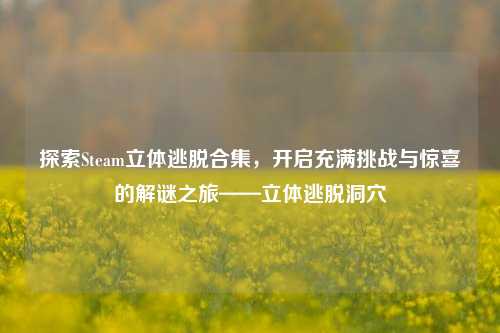 探索Steam立体逃脱合集,开启充满挑战与惊喜的解谜之旅——立体逃脱洞穴