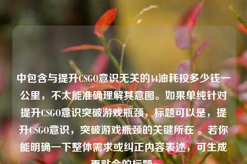 中包含与提升CSGO意识无关的14油耗投多少钱一公里,不太能准确理解其意图。如果单纯针对提升CSGO意识突破游戏瓶颈,标题可以是,提升CSGO意识,突破游戏瓶颈的关键所在 。若你能明确一下整体需求或纠正内容表述,可生成更贴合的标题。